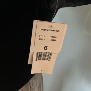 Karin Stevens Silver Dress